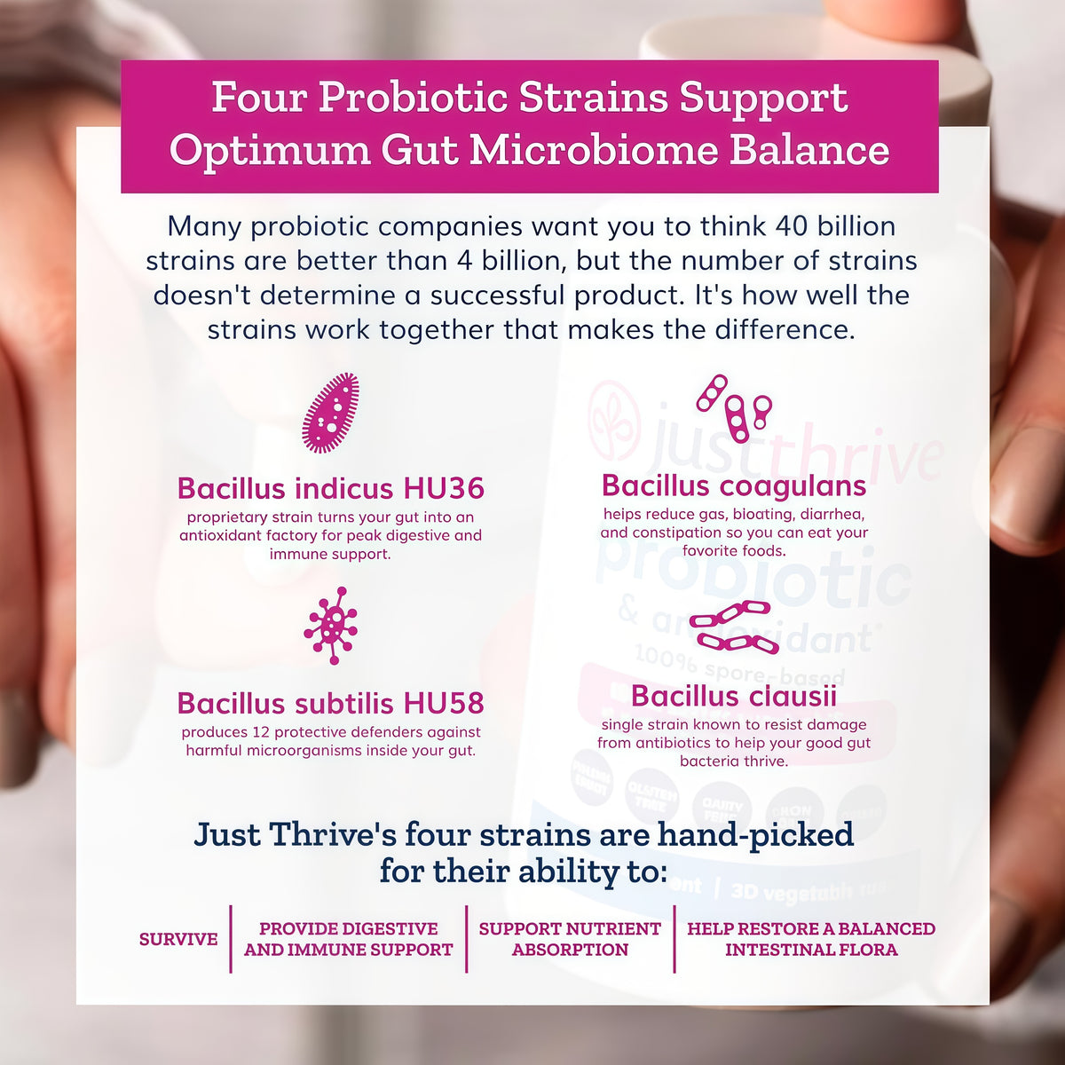 30-Day Probiotic Supplement for Gut Wellness